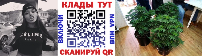 Продажа наркотиков Пестово МАРИХУАНА  МЕФ 