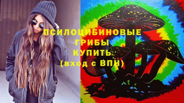 jwh Белокуриха