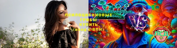 прущая мука Новокубанск