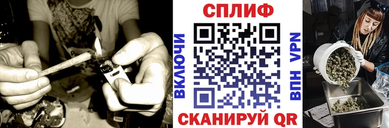 магазин продажи наркотиков  Пестово  Шишки марихуана конопля 